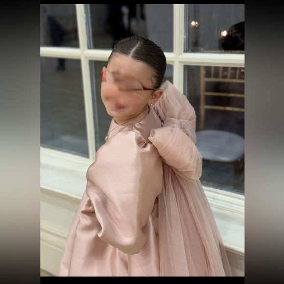 Reimagined Ella Petite Long Sleeve Gown Mauve Size 6 - Picture 3 of 3